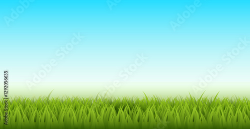 Natural landscape with grass. Green lawn and blue clean sky. Realistic isolated horizontal background. Park meadow. Backdrop design. 3d Isolated elements. Ecological natural vector concept