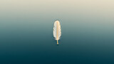 Isolated feather on a gradient backdrop creates a tranquil and contemplative atmosphere. The stark white contrasts beautifully with the subdued background.