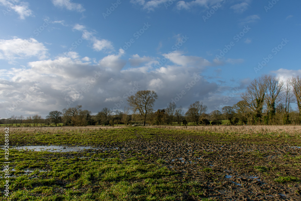Muddy field after flooding subsides. Near Watford UK Muddy field after flooding subsides. Near Watford UK
