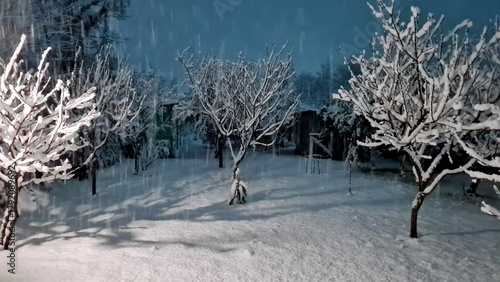 Tree branches in the night garden are covered with snow