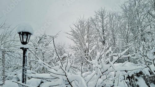 Trees in the garden are covered with a thick layer of snow