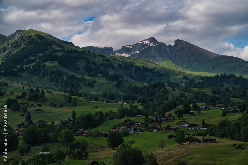 Obraz premium Grindelwald is a village in the Bernese Alps of Switzerland, it is known for being the gateway to Jungfrau. Landscape, valley wildflowers and colorful meadows in spring, spectacular Switzerland Alps.