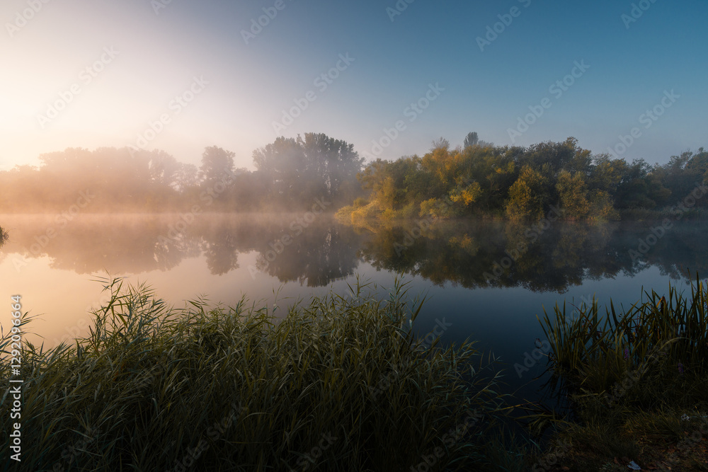 Fototapeta premium misty morning on the river