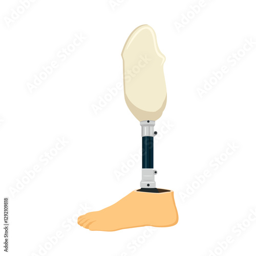 Prosthetic leg isolated on white background.