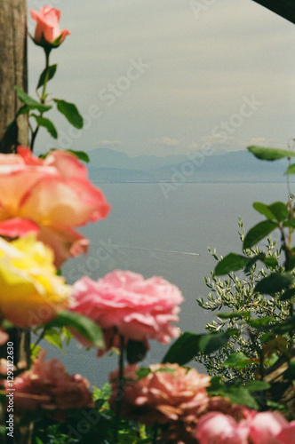 Mediterranean Coastal Views, Charming Cafés, and Seaside Escapes, spring season, the photos are shot with an analog camera