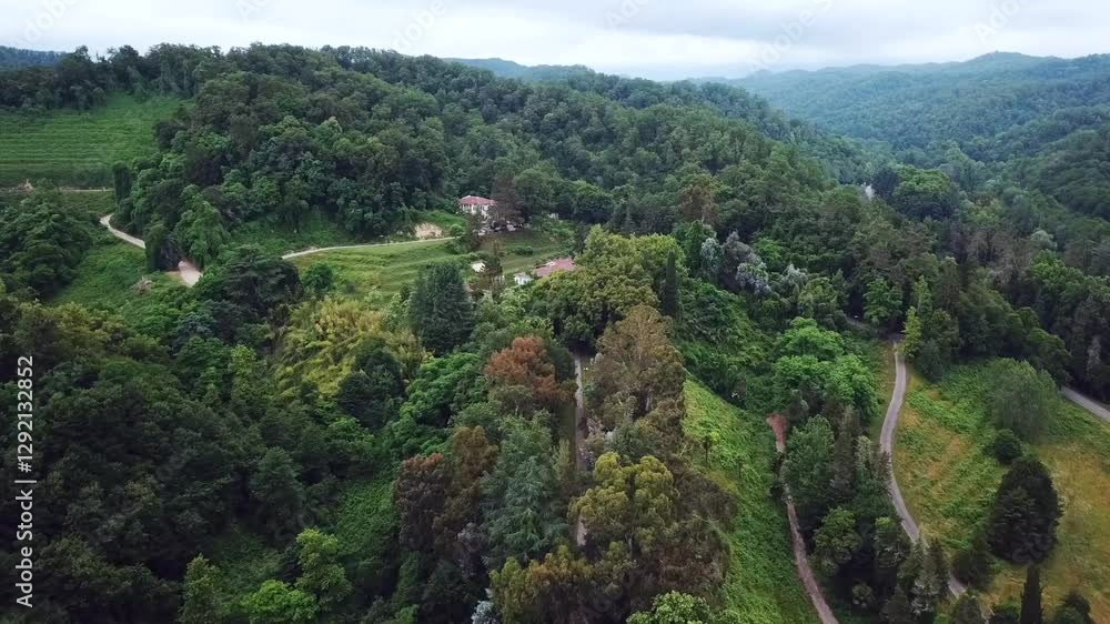 Houses in the forest on a hillside Houses in the forest on a hillside