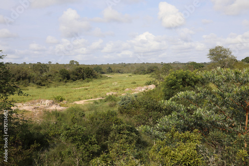 Afrikanischer Busch - Krügerpark - Biyamiti River / African Bush - Kruger Park - Biyamiti River / photo