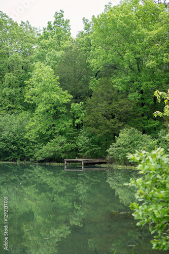 Wooden dock on a calm lake surrounded by lush green forest