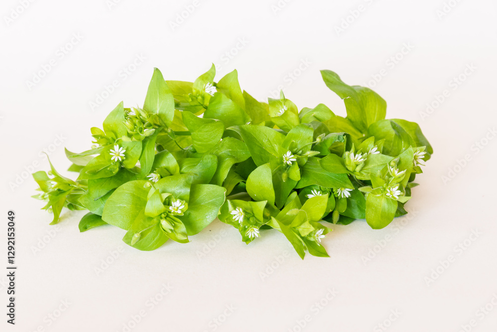 image to crop