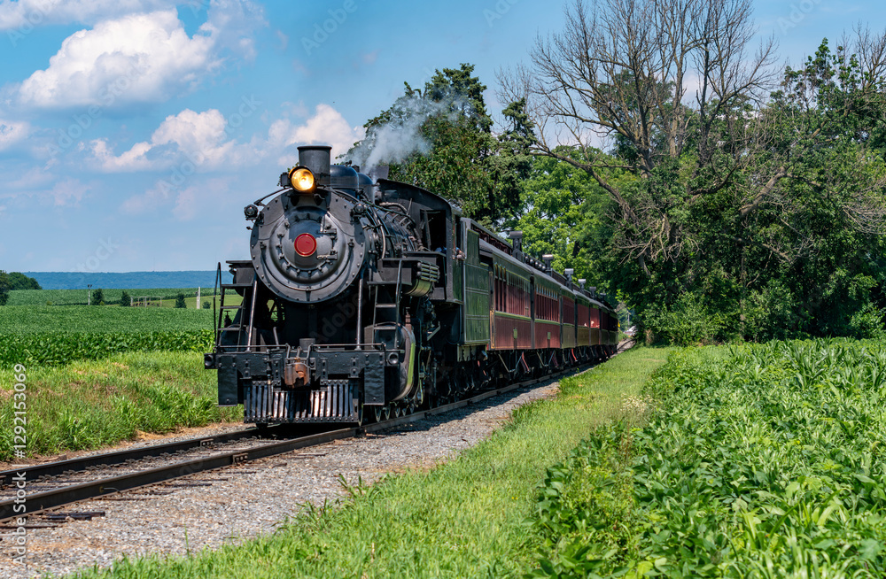 Naklejka premium A classic steam train chugs through vibrant fields under a bright blue sky. The train's black engine contrasts with the green landscape as smoke rises into the air.