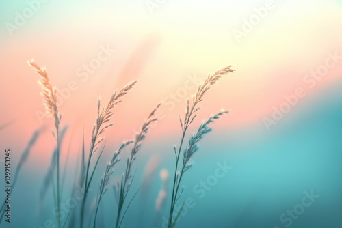 Abstract Grass at Sunset