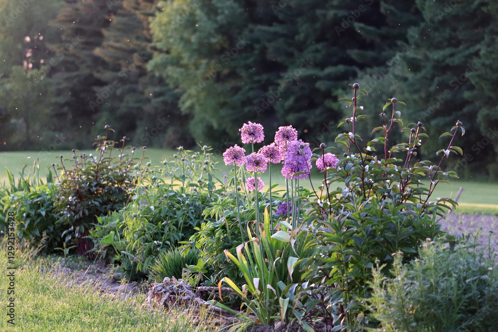 Obraz premium Flower Garden