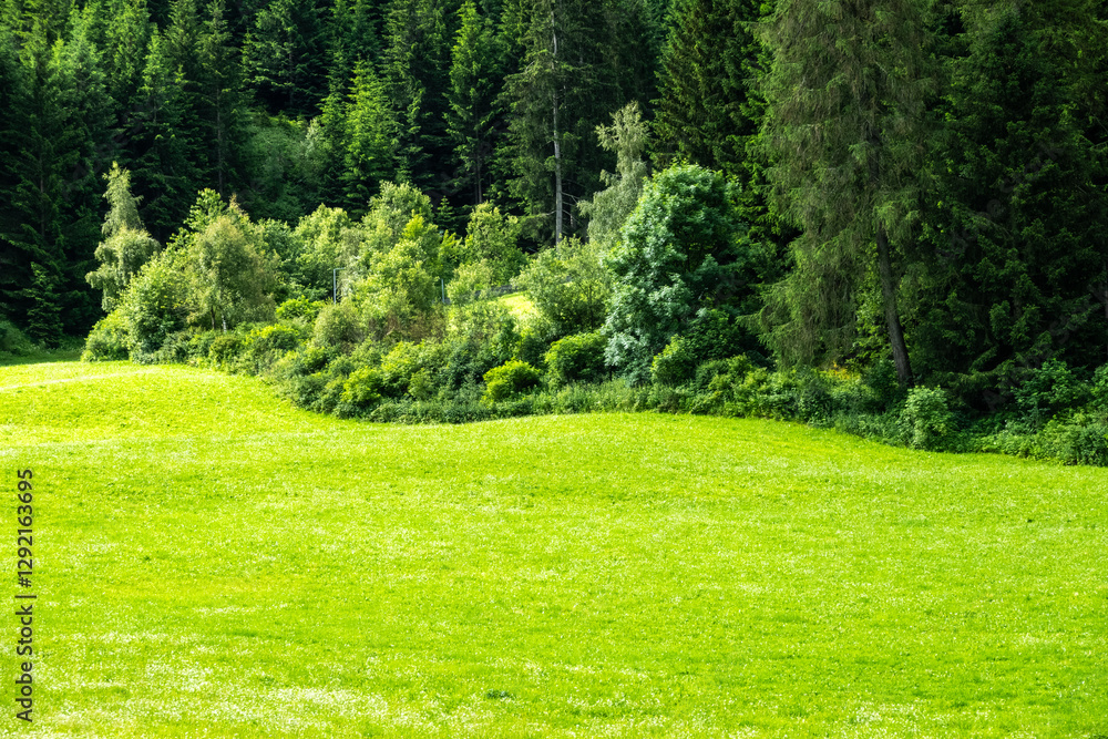 Scenic View of a Beautiful Landscape Garden with a Green Mowed Lawn Scenic View of a Beautiful Landscape Garden with a Green Mowed Lawn