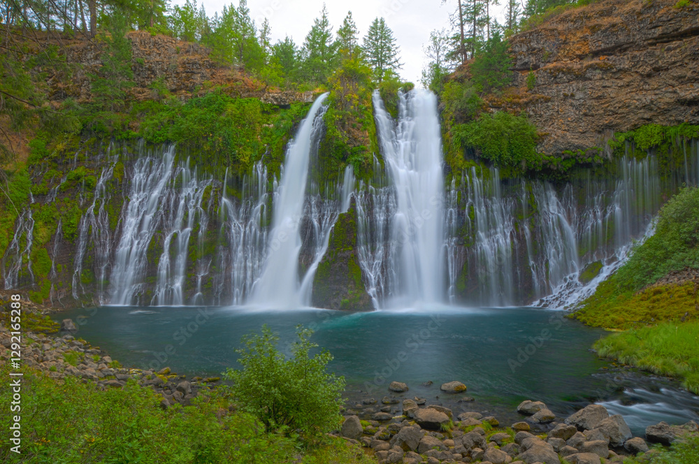 Fototapeta premium Burney Falls, CA. by Charity Ingham