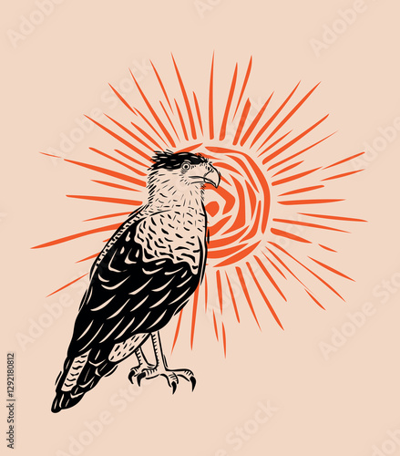 Bird of prey posed with the sun in the background. Hawk, Falcon or Caracara. Vector illustration in vintage woodcut style..eps