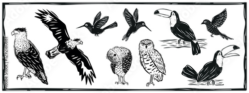 Set of birds in linocut. Collection of prints of engravings of caracara, falcon, eagle, hawk, toucan, hummingbird, owl. Indigo outline, woodcut style, boho..eps