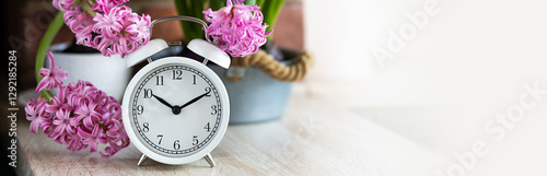 Banner. Daylight spring saving time concept. white alarm clock changing from winter to summer time. Turn time forward. Pink fresh springtime flowers hyacinth. Home gardening, leisure, hobby