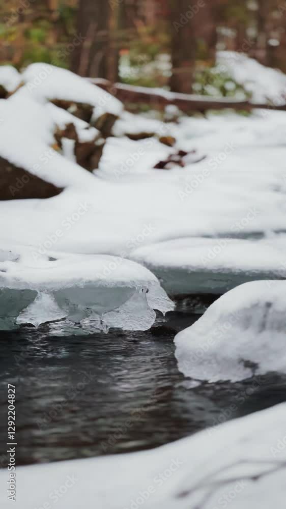 Winter Stream Flowing Through Snow-Covered Forest, chilling stream, winter wilderness. Winter Stream Flowing Through Snow-Covered Forest, chilling stream, winter wilderness.