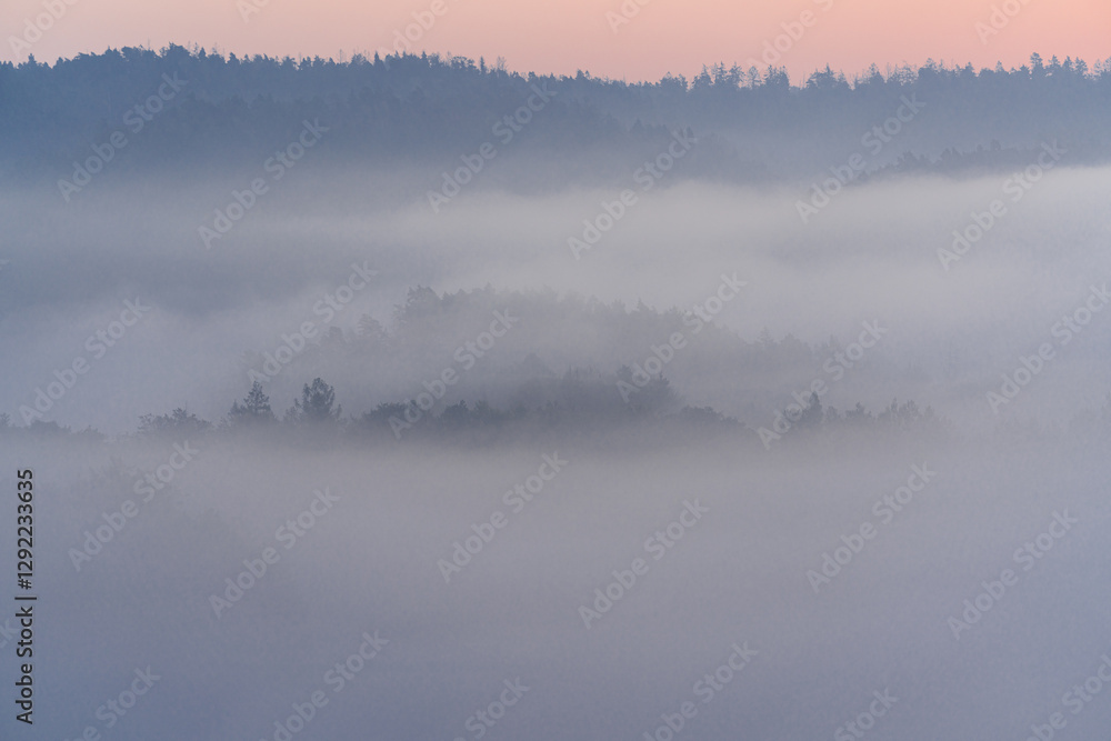 Fototapeta premium Sächsische schweiz, nebel, landschaft, see, nebel, wasser, natur, morgen, himmel, wald, sonnenaufgang, fluss, baum, nebelig, baum, dawn, abendrot, berg, beruhigt, gelassenheit, cloud, landschaftidyll,