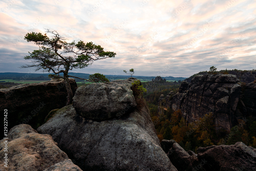 Sonnenuntergang am Lehnsteig Sandstein Berg im Nationalpark Sächsische Schweiz in Sachsen Deutschland Sonnenuntergang am Lehnsteig Sandstein Berg im Nationalpark Sächsische Schweiz in Sachsen Deutschland