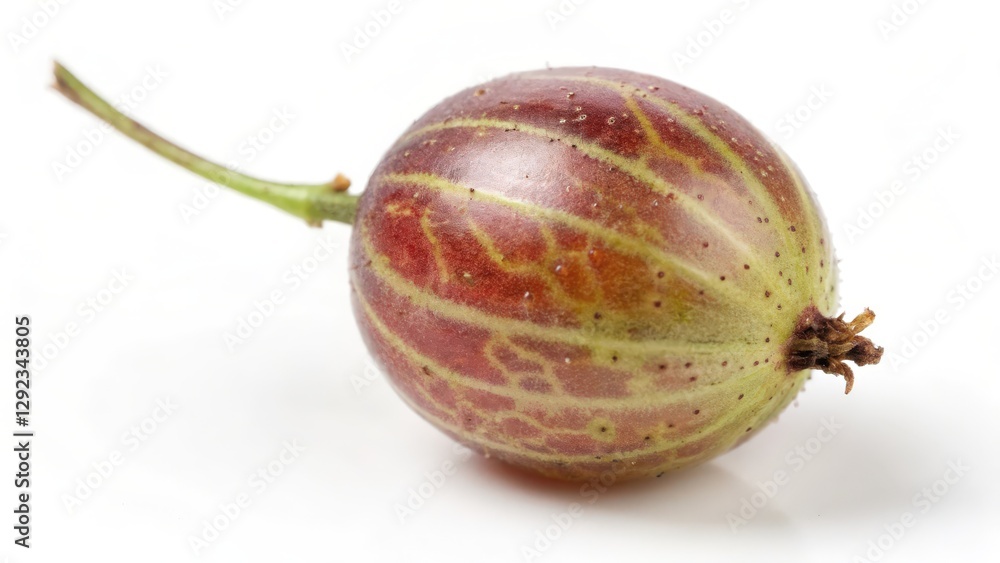 Single Red Gooseberry on White Background Single Red Gooseberry on White Background