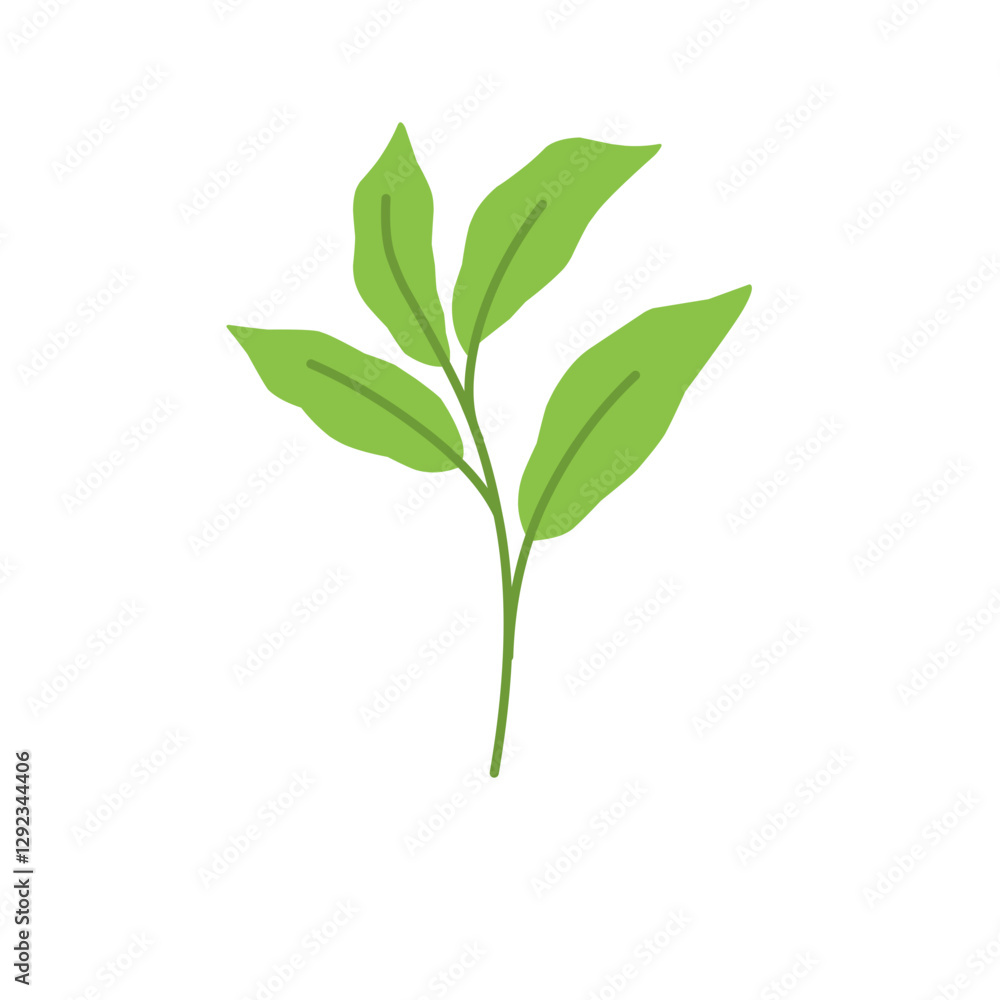 Simple Green Leaf Illustration Simple Green Leaf Illustration