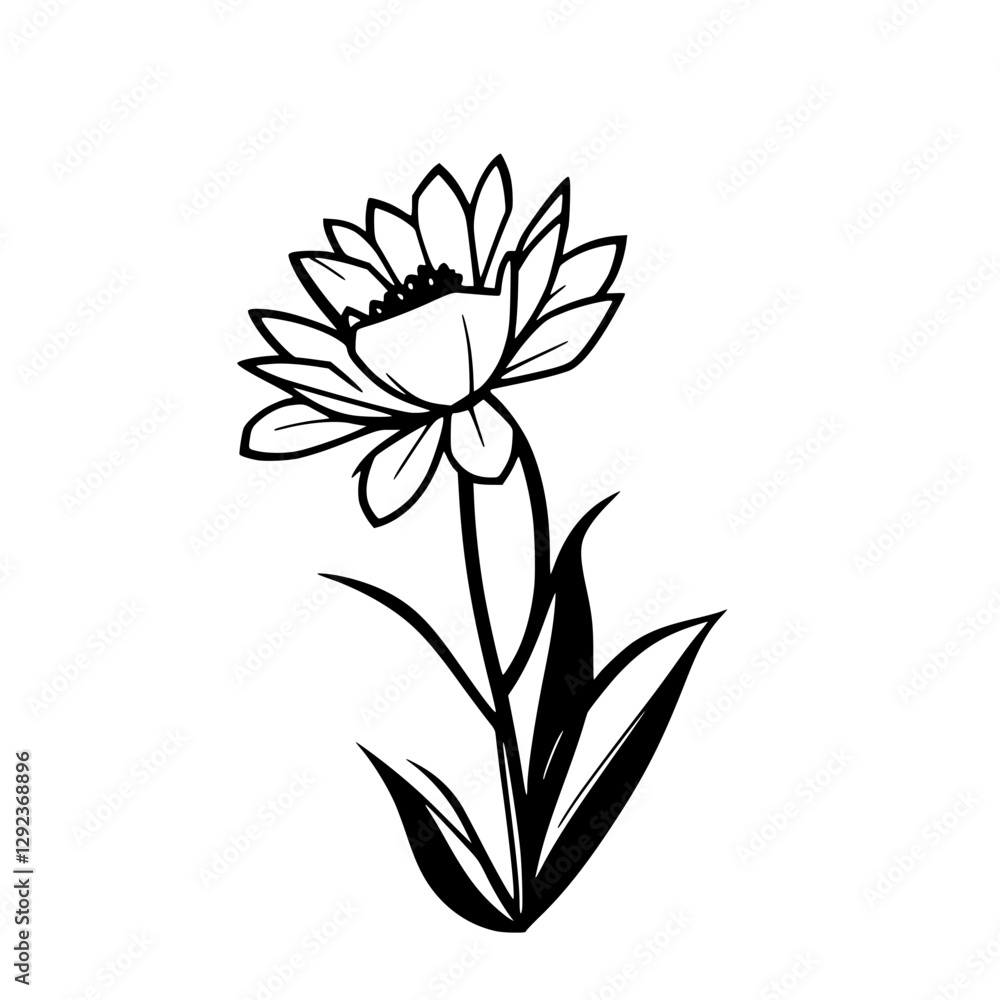 Stylized illustration of a monochrome black and white flower, botanical drawing. Stylized illustration of a monochrome black and white flower, botanical drawing.