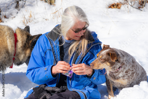 Photography senior woman with silver hair giving treats to dogs in a snow covered winter won