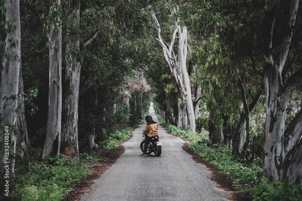 Hombre adulto en motocicleta negra por camino rodeado de arboles en día lluvioso Hombre adulto en motocicleta negra por camino rodeado de arboles en día lluvioso