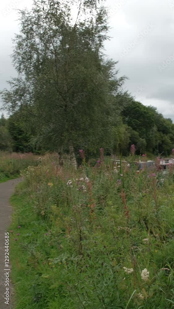 AUCHINSTARRY, NORTH LANARKSHIRE, SCOTLAND, UK - AUGUST 18, 2024: Leisurely stroll along the Forth and Clyde Canal at Auchinstarry Marina, surrounded by narrow boats and lush greenery. AUCHINSTARRY, NORTH LANARKSHIRE, SCOTLAND, UK - AUGUST 18, 2024: Leisurely stroll along the Forth and Clyde Canal at Auchinstarry Marina, surrounded by narrow boats and lush greenery.