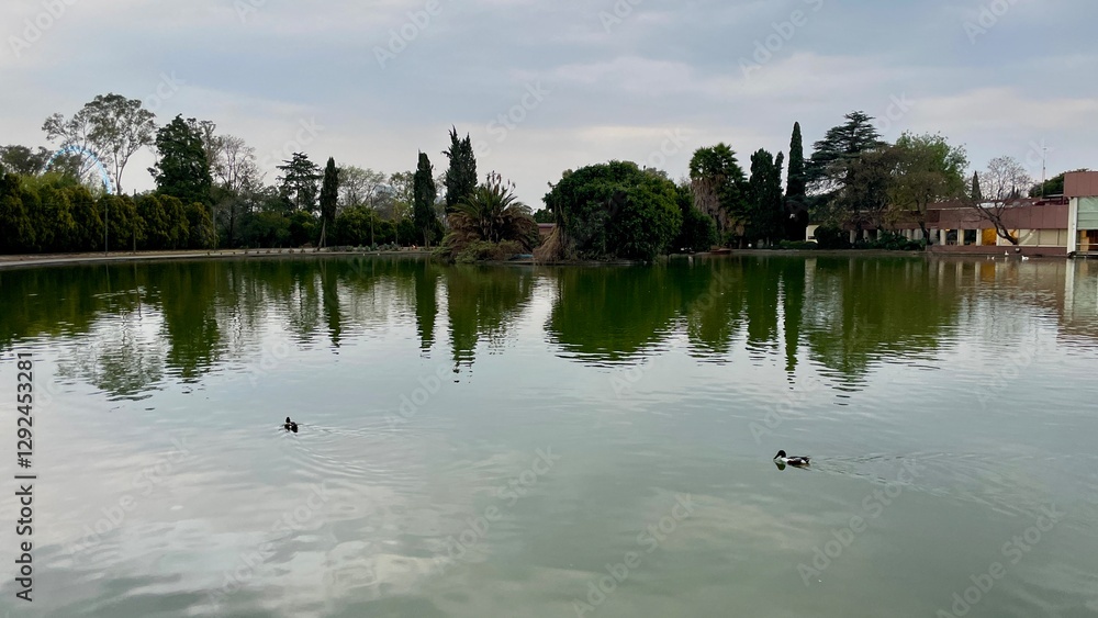 The lake in the city park The lake in the city park
