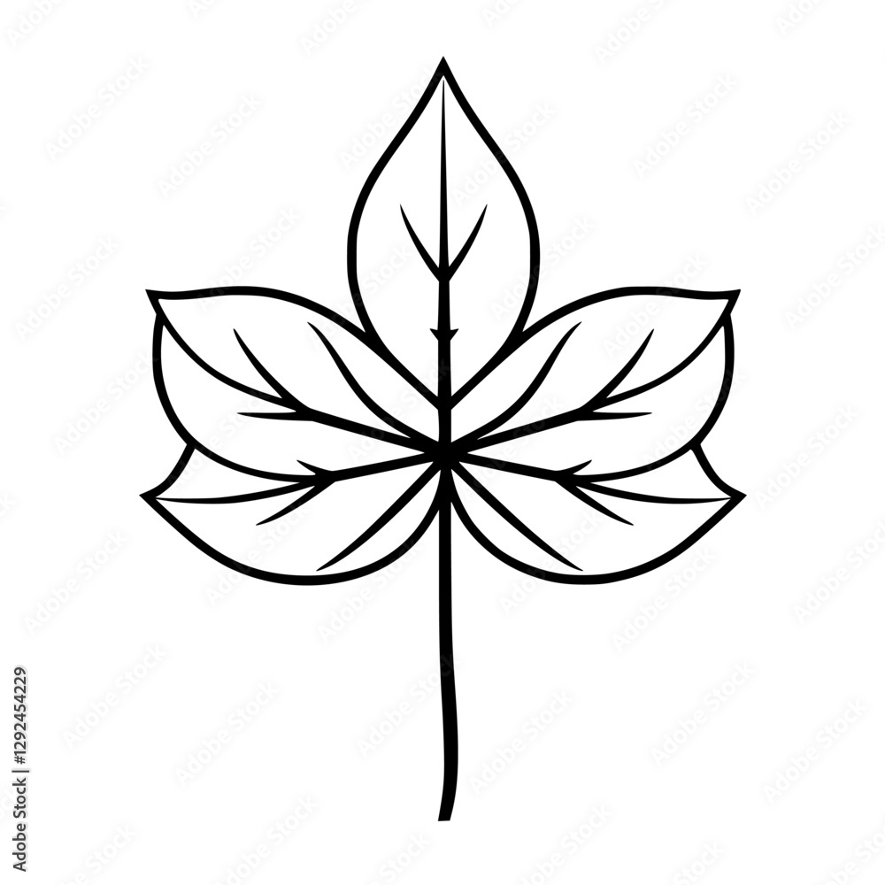 Simple Leaf Contour Illustration on White Background, Vector Drawing Simple Leaf Contour Illustration on White Background, Vector Drawing