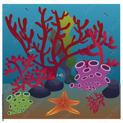 fish 19.02.2025-44