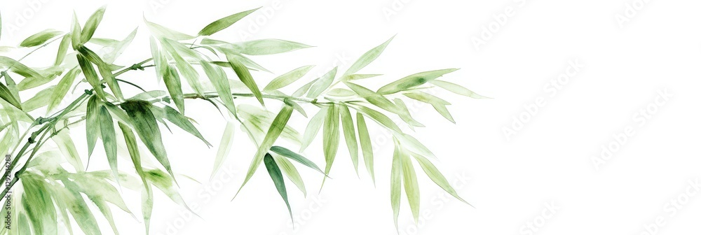Fototapeta premium Watercolor Bamboo Tree