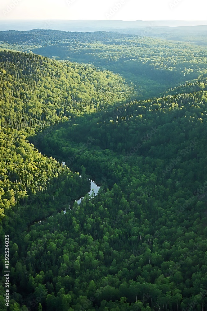 Fototapeta premium impressive aerial overview of a thriving forest environment