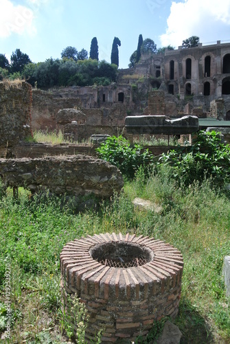 Roman Forum, Palatine Hill, Rome Italy 