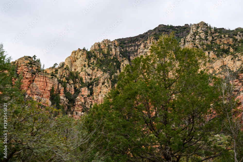 Red Rock Hillside with green trees Sedona Arizona Red Rock Hillside with green trees Sedona Arizona