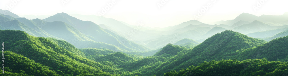 Fototapeta premium Misty Green Mountain Range Panorama