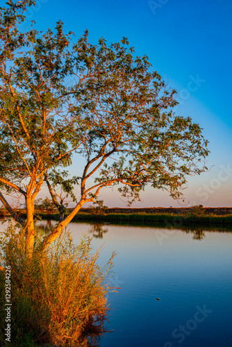 Late afternoon on Caloosahatchee Canal 2 photo