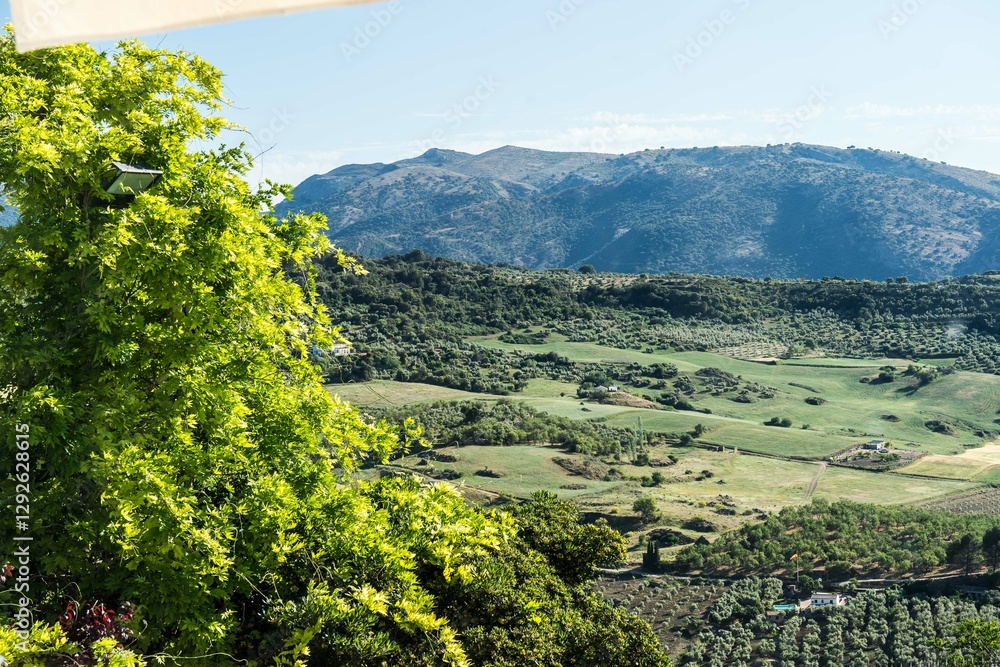 Fototapeta premium Spain Ronda