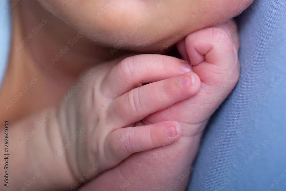 Tiny newborn baby human hands and fingers Tiny newborn baby human hands and fingers