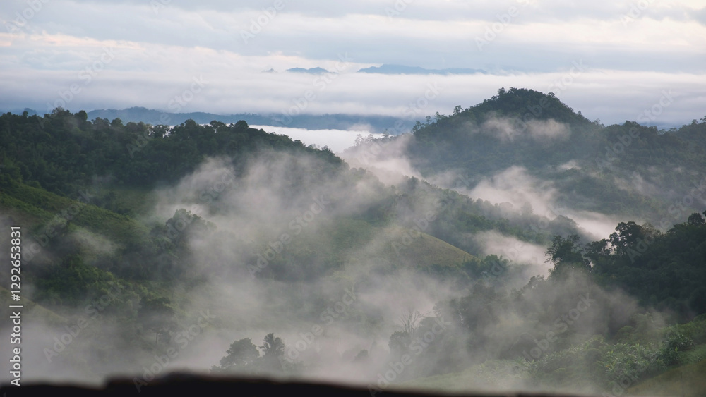 Fototapeta premium Landscape view of greenery mountains on foggy morning