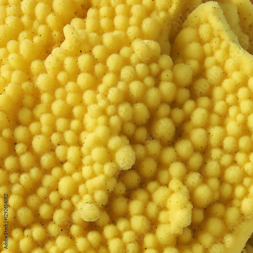 CORN