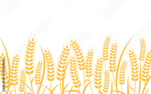 Farm wheat rice vector icon illustration design template
