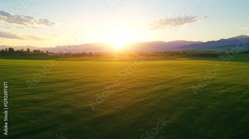 Fototapeta Naklejka Na Ścianę i Meble -  Aerial view of a grassy field at sunset