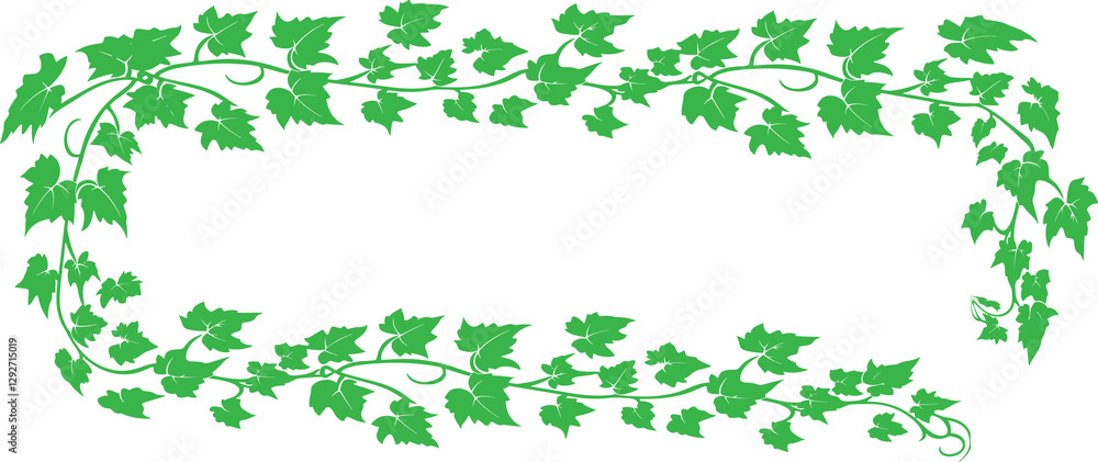 Green ivy vine frame