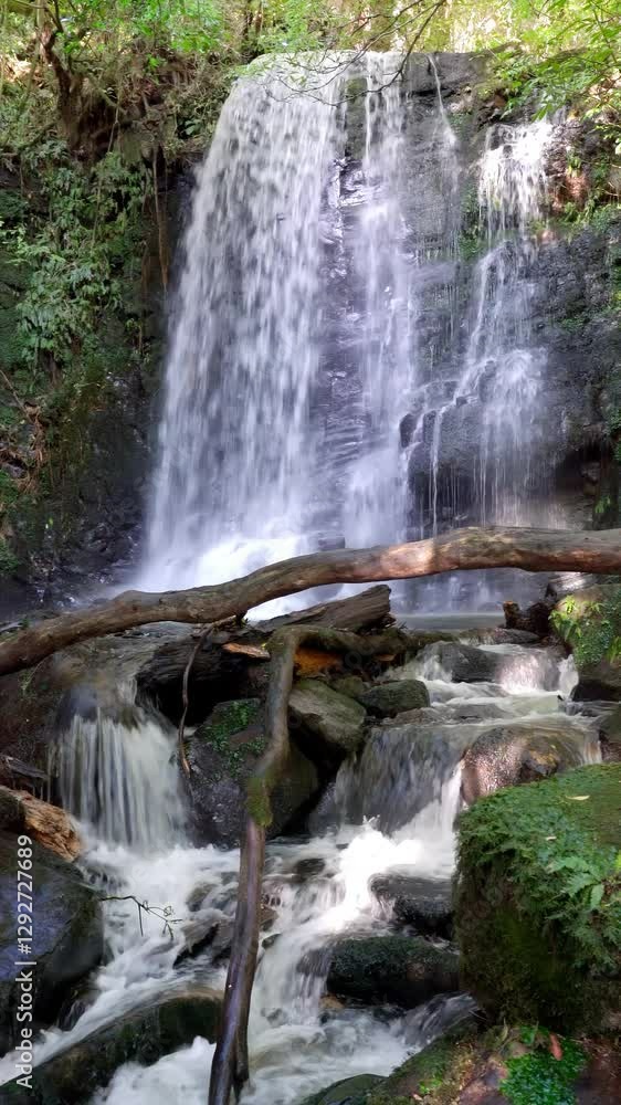 Stunning Matai Falls in New Zealand - Majestic Waterfall