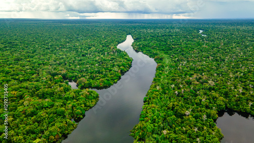 Aerial View of Amazon Rainforest and River in Colombia, Showcasing Lush Greenery and Biodiversity