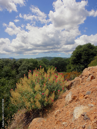 Sky & Land by Charity Ingham