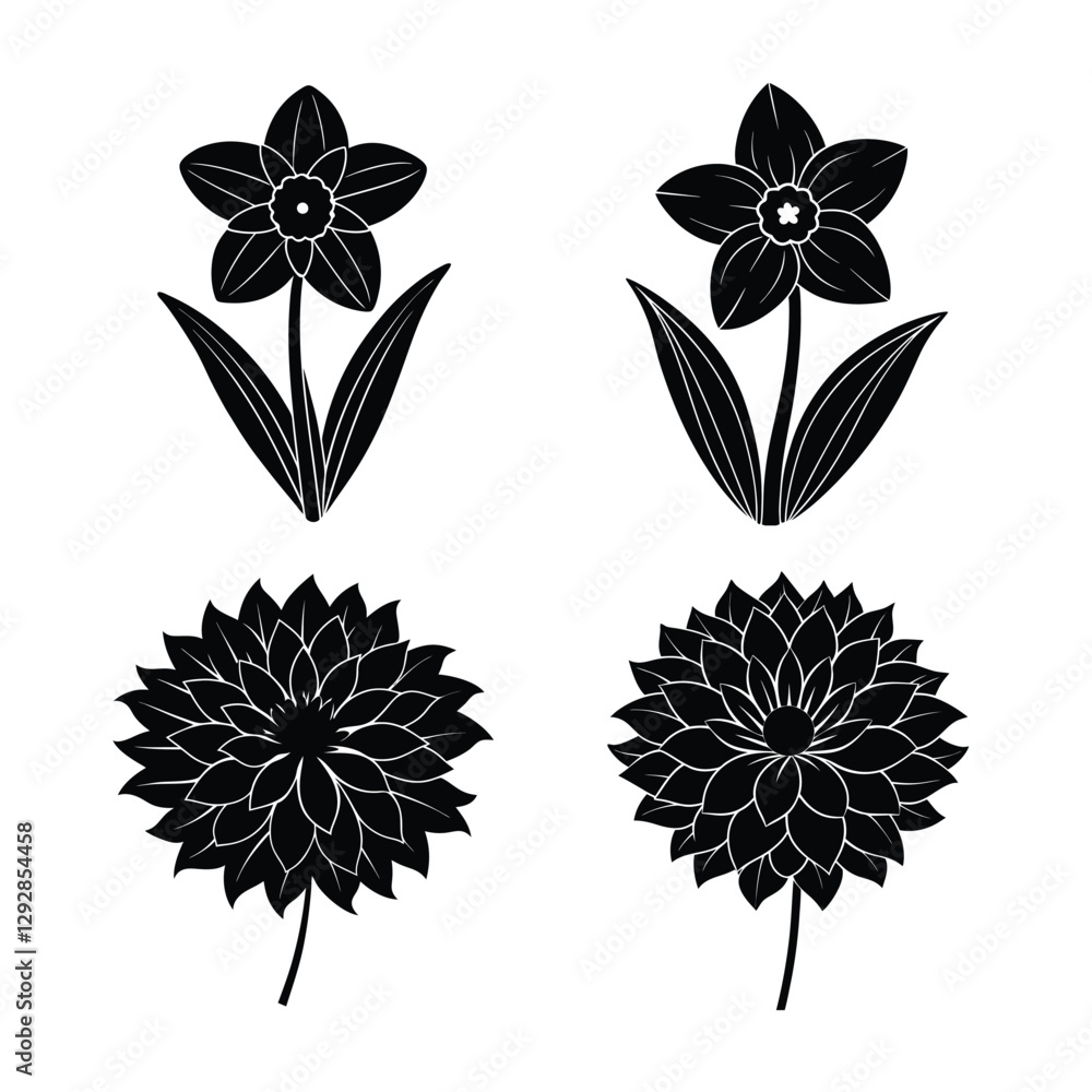 Obraz premium Elegant Black and White Floral Illustrations for Design Projects